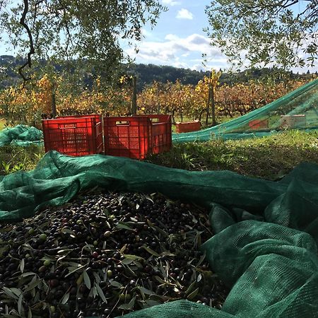 Tenuta Guardastelle - Agriturismo And Vineyard 圣吉米纳诺 外观 照片